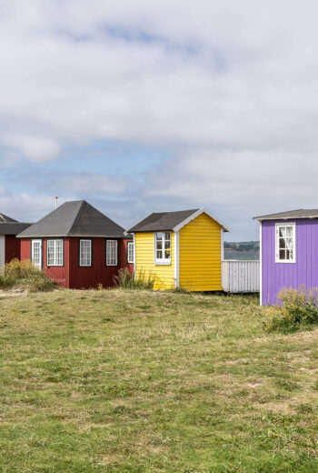 Danimarca, on the road con Mr. Miz